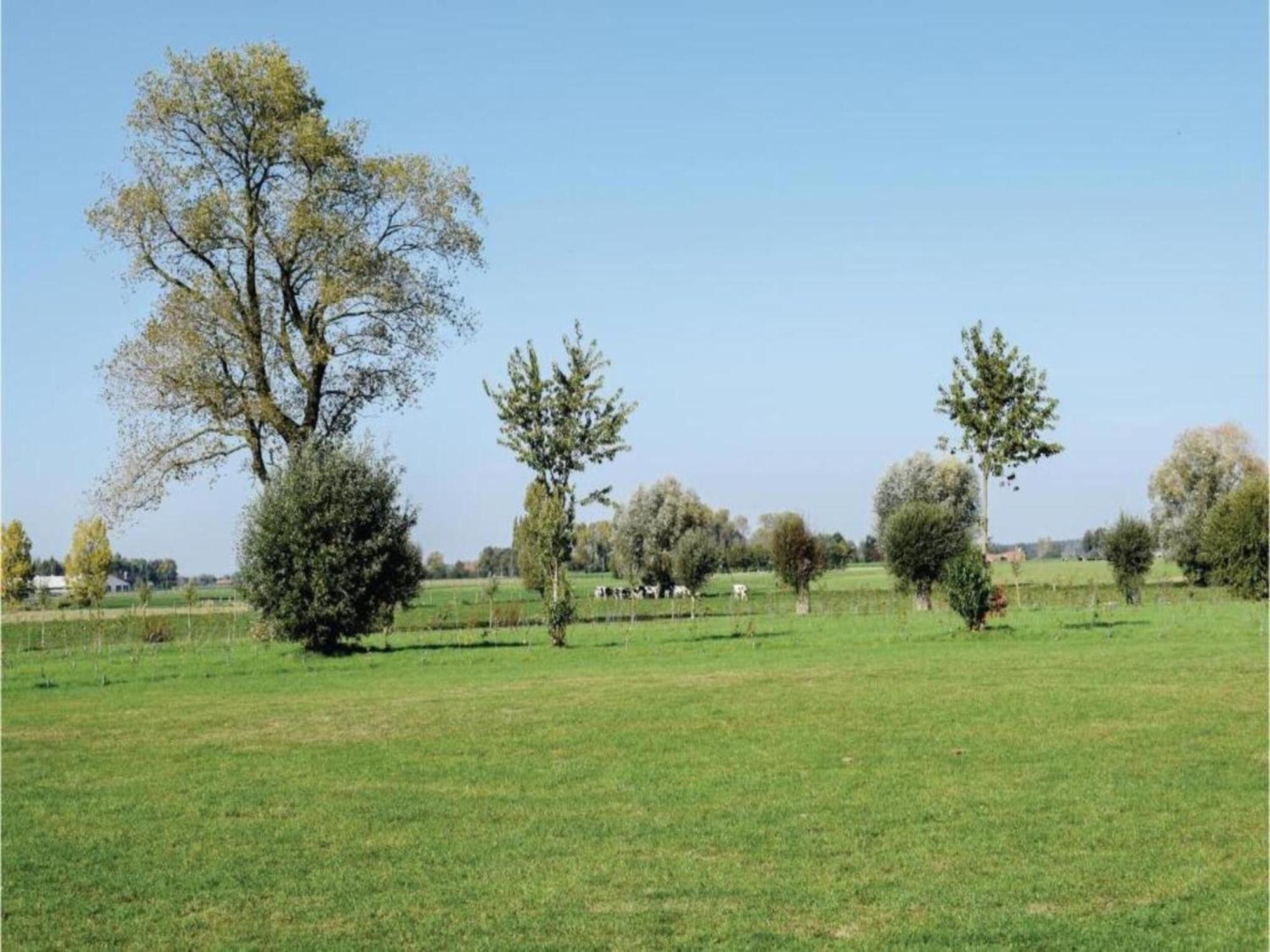 Studio In Ieper With Terrace Eksteriør bilde